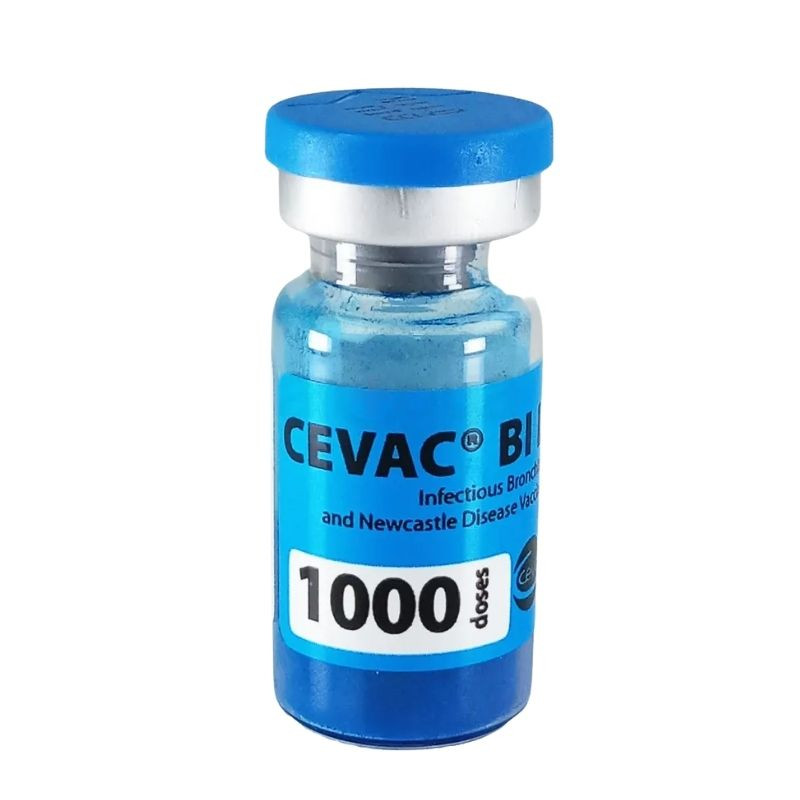 BIL 1000 DOSES