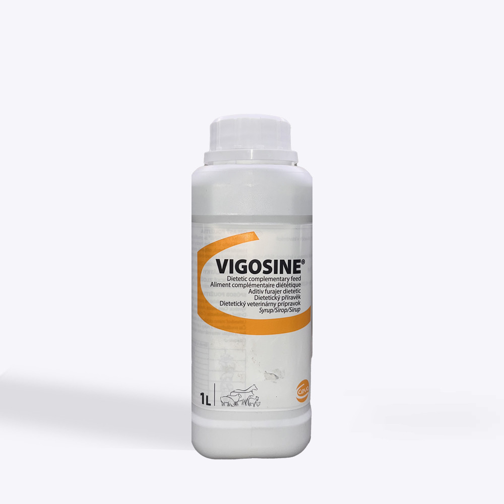 VIGOSINE 1L