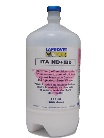 ITA ND+IBD  1000 DOSES