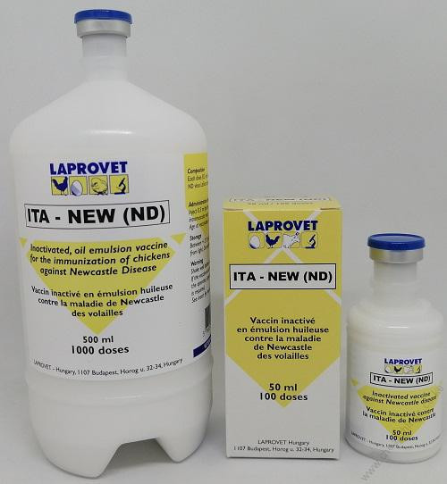 ITA NEW (ND)  1000 DOSES