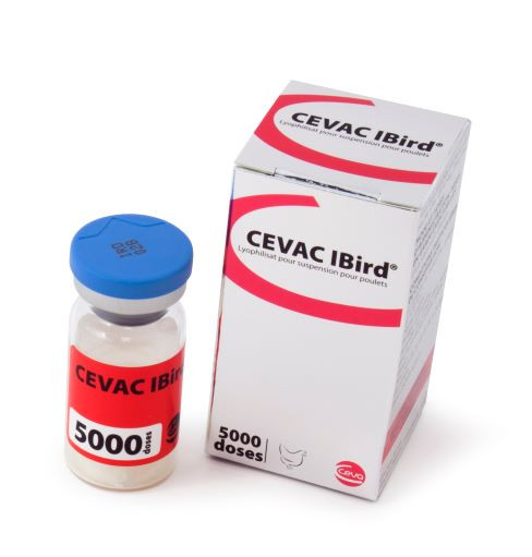 IBRID 5000 DOSES