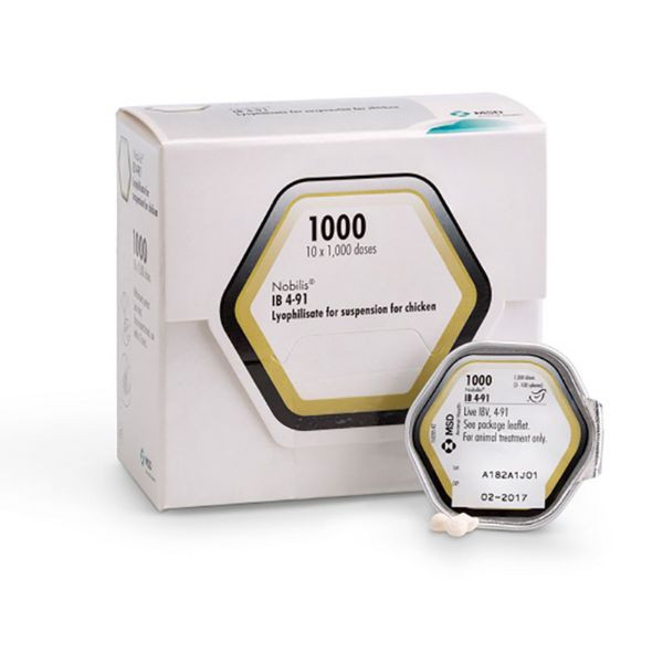 IB 4/91 X 1000 DOSES