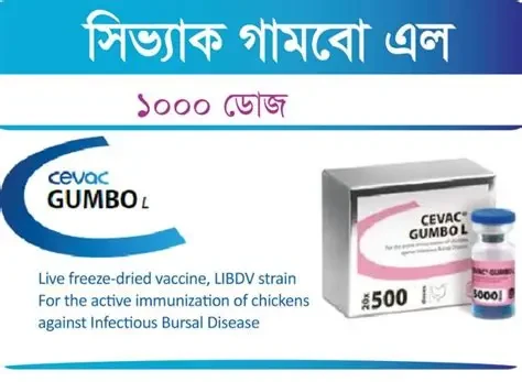 GUMBO 1L 1000 DOSES