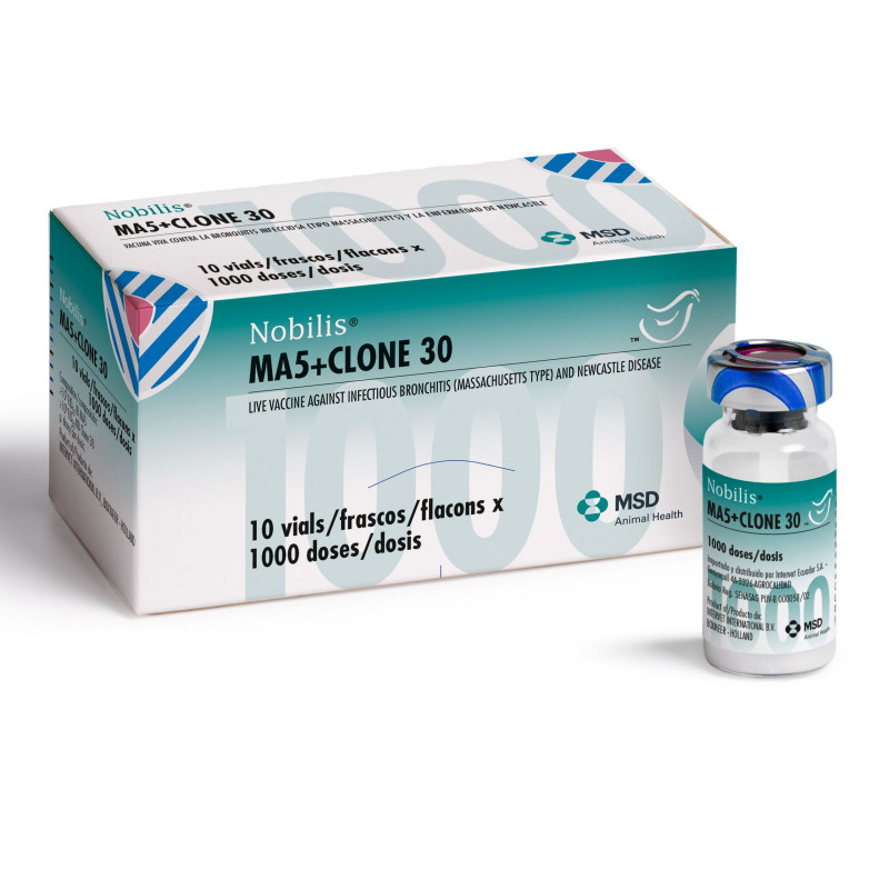 MA5+CLONE 30 1000 DOSES