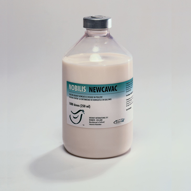NOBILIS NEWCAVAC 1000 DOSES