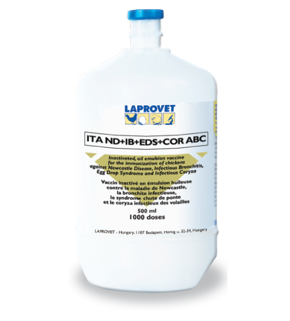 ITA ND+IB+EDS+COR ABC  1000 DOSES