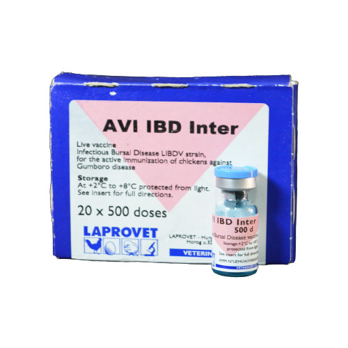 AVI IBD INTER 500 DOSES