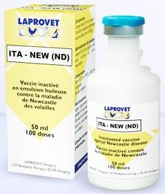 ITA NEW (ND)  100 DOSES