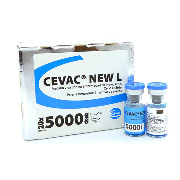 NEW L 500 DOSES