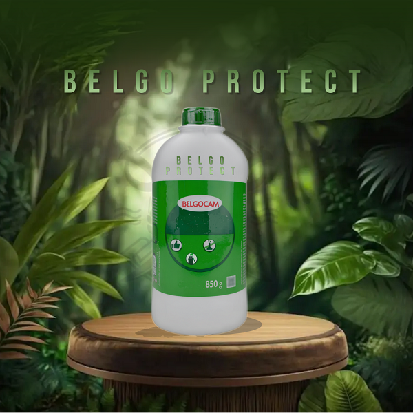BELGO PROTECT