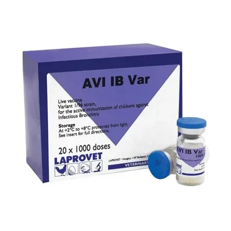 AVI IB VAR 1000 DOSES