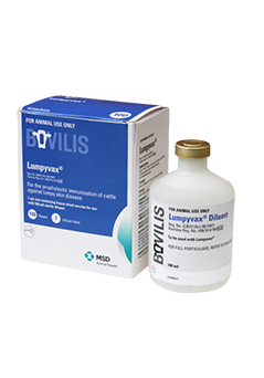 LUMPYVAX 1X 1000 DOSES +7ML