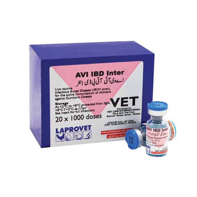 AVI IBD INTER 1000 DOSES