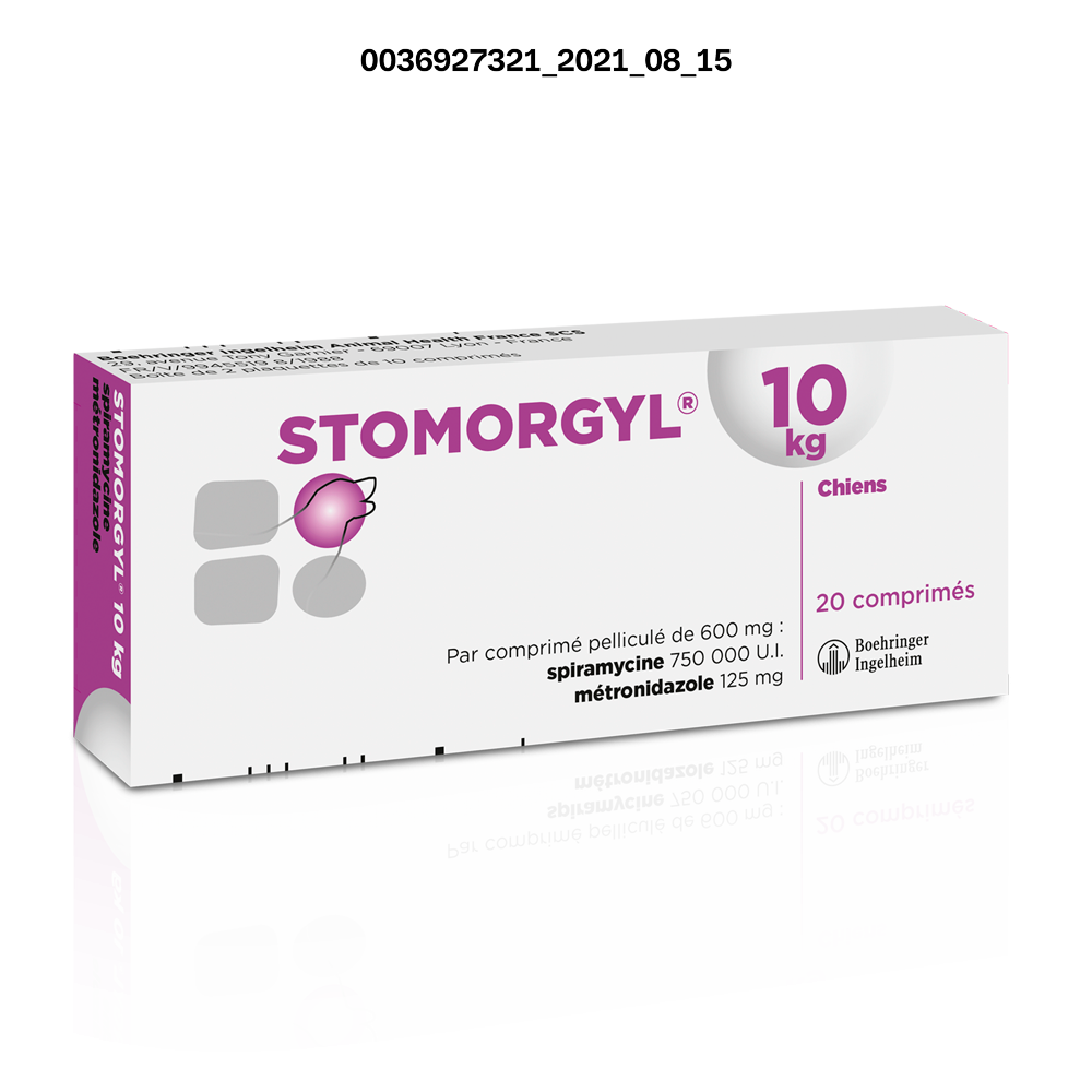 STOMORGYL 10KG CP